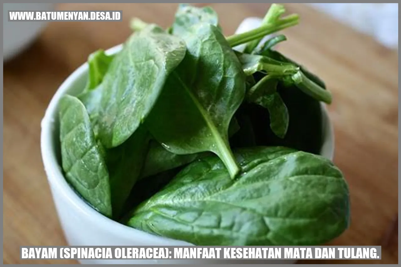 Rahasia Bayam: Mata & Tulang Tetap Sehat!