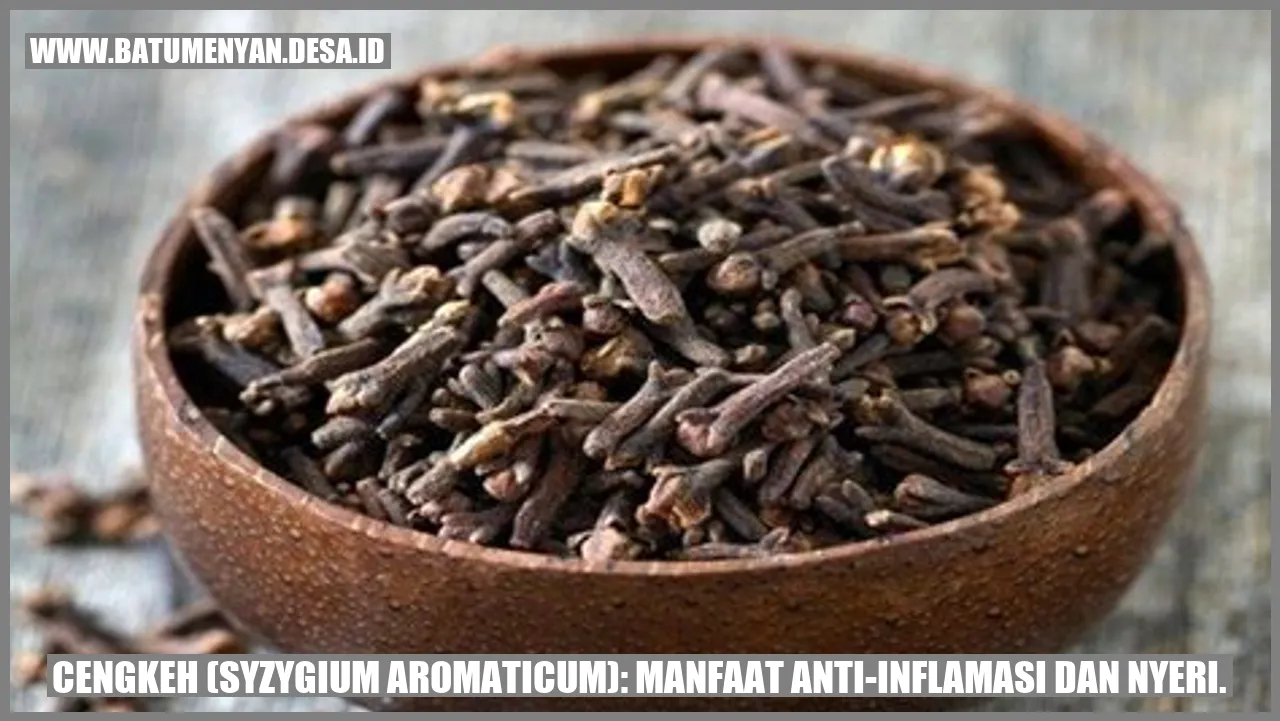 Cengkeh (Syzygium aromaticum): Manfaat Anti-inflamasi dan Nyeri.