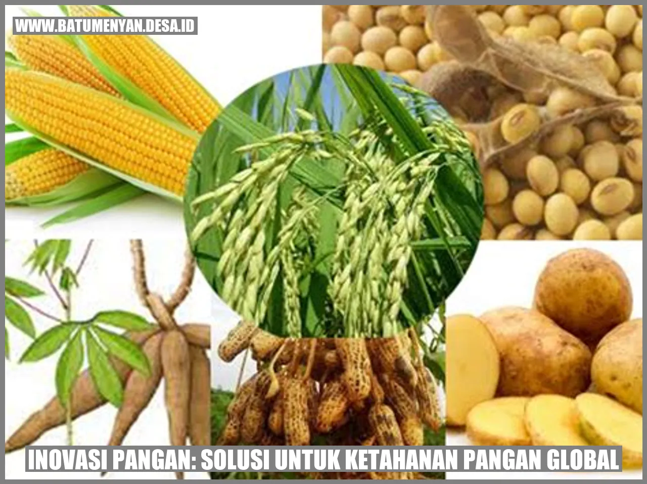 Inovasi Pangan: Solusi untuk Ketahanan Pangan Global