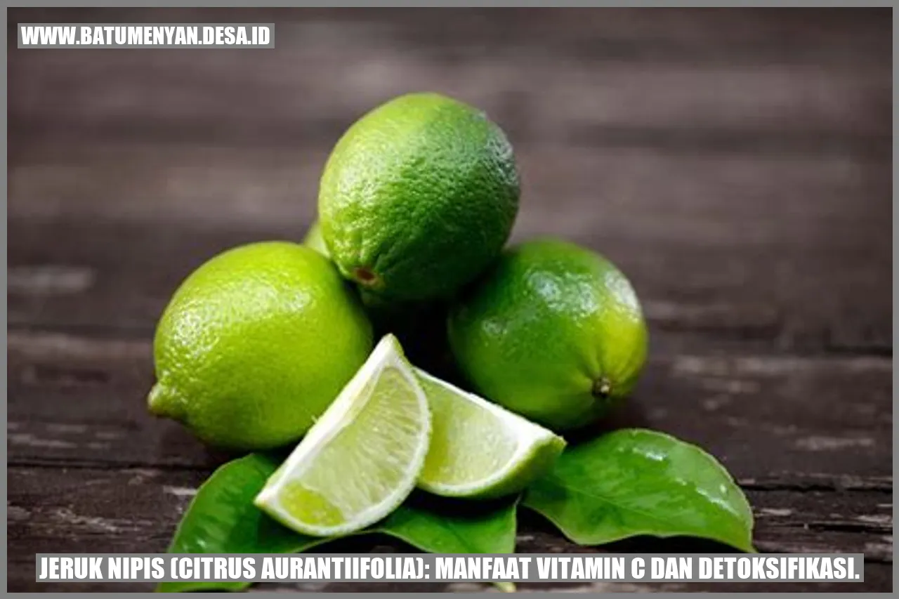 Jeruk Nipis (Citrus aurantiifolia): Manfaat Vitamin C dan Detoksifikasi.