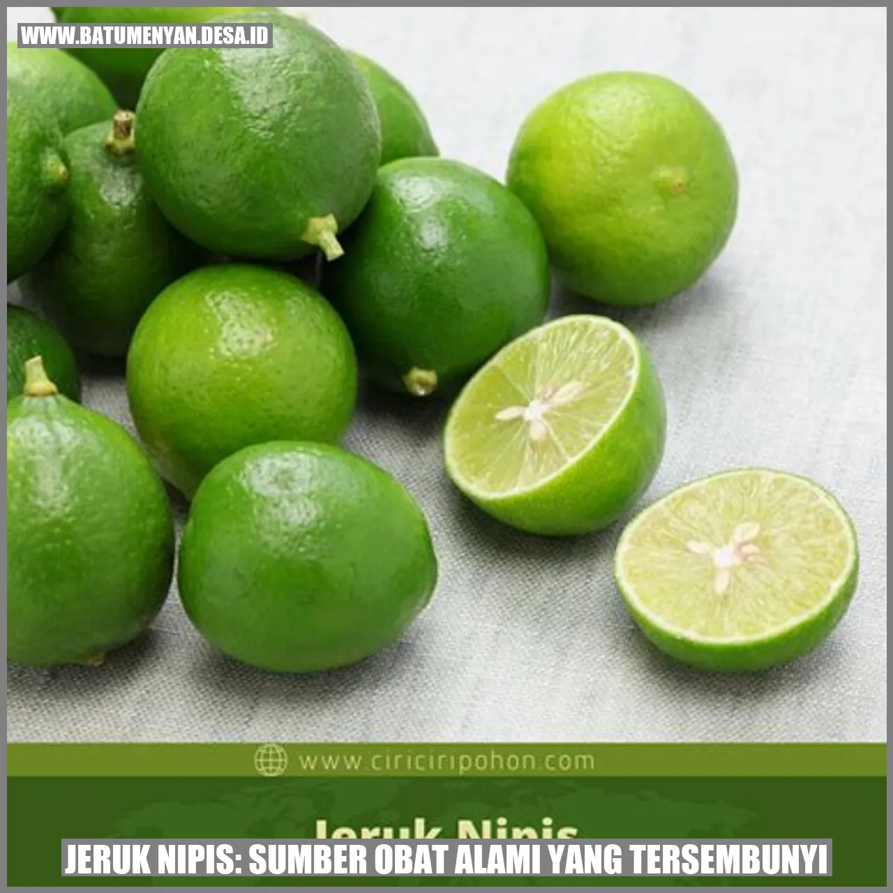 Jeruk Nipis: Rahasia Obat Alami yang Mengejutkan!