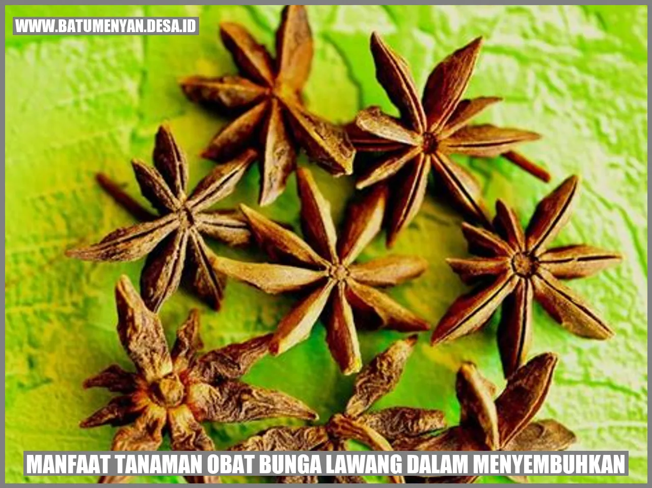 Manfaat Tanaman Obat Bunga Lawang dalam Menyembuhkan