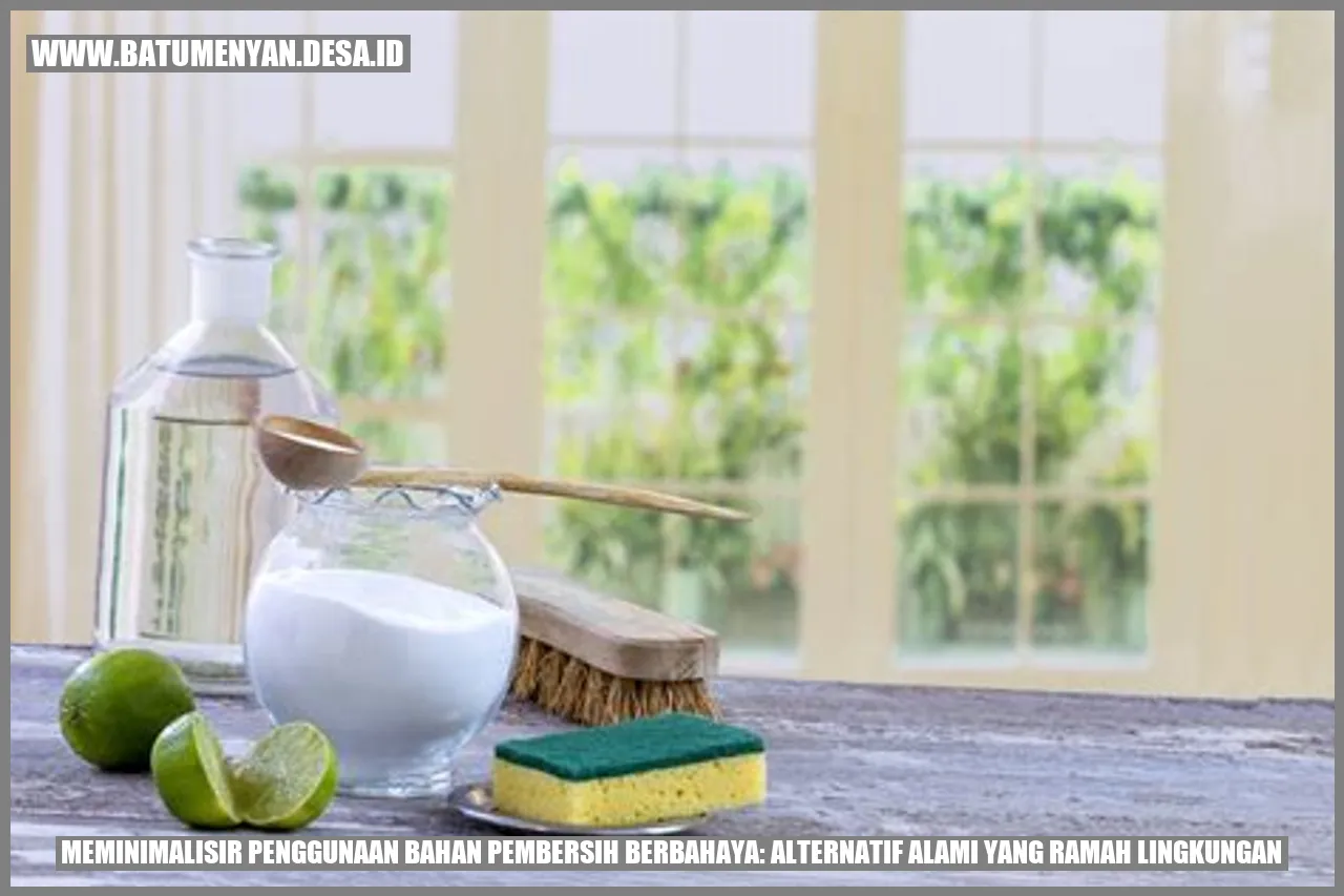 Meminimalisir Penggunaan Bahan Pembersih Berbahaya: Alternatif Alami yang Ramah Lingkungan