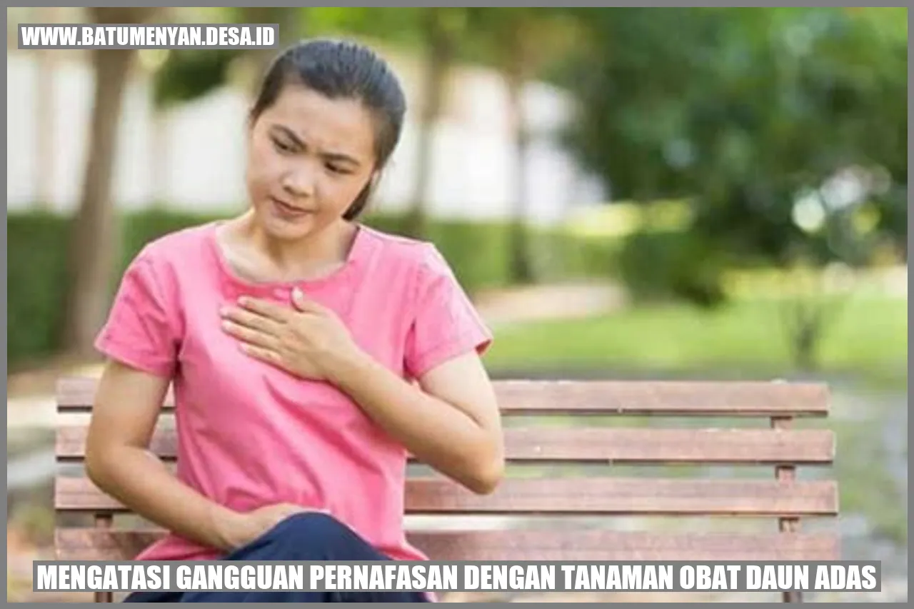 Mengatasi Gangguan Pernafasan dengan Tanaman Obat Daun Adas