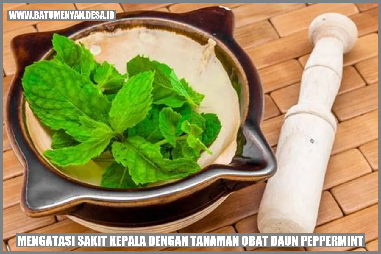 Mengatasi Sakit Kepala dengan Tanaman Obat Daun Peppermint