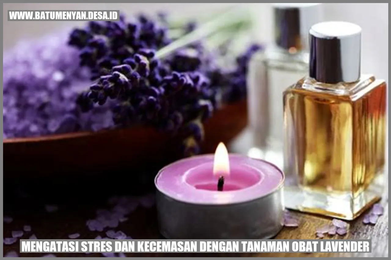 Mengatasi Stres dan Kecemasan dengan Tanaman Obat Lavender