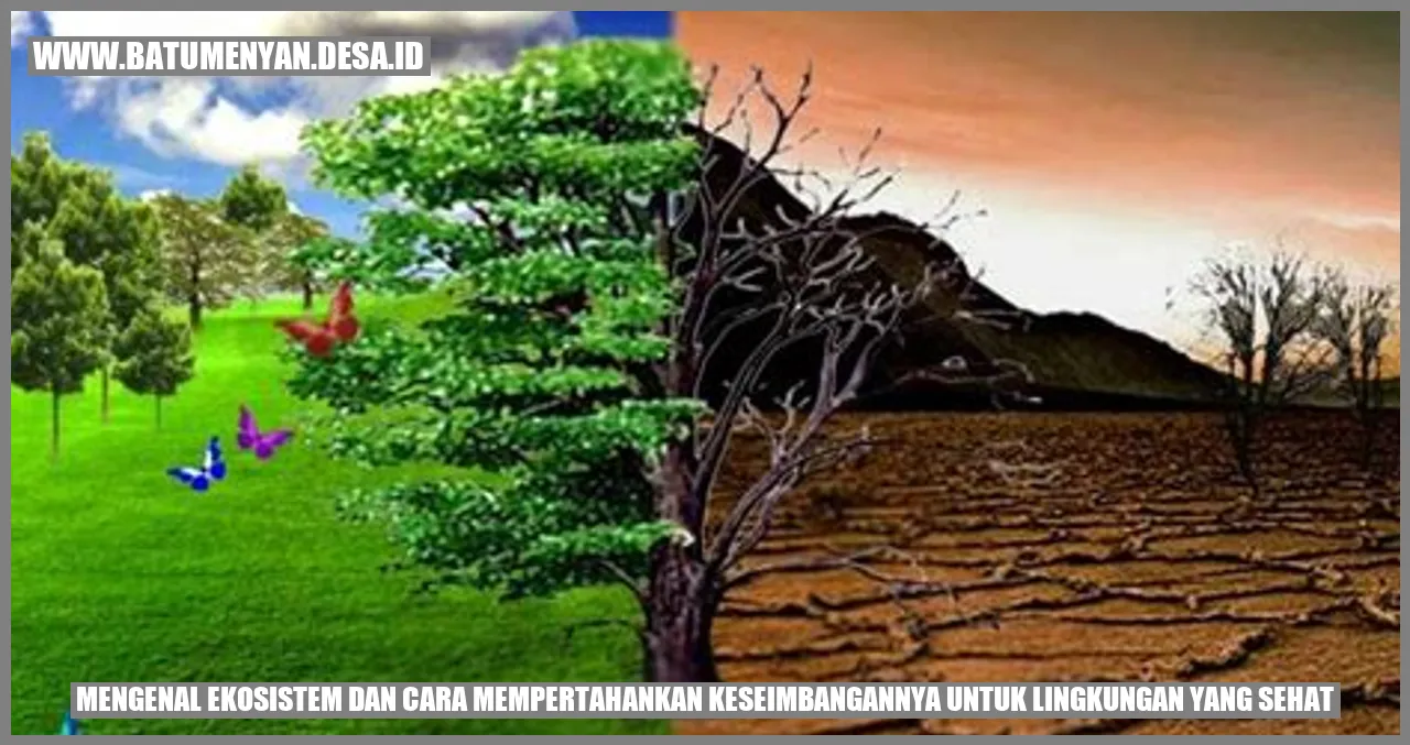Mengenal Ekosistem dan Cara Mempertahankan Keseimbangannya untuk Lingkungan yang Sehat