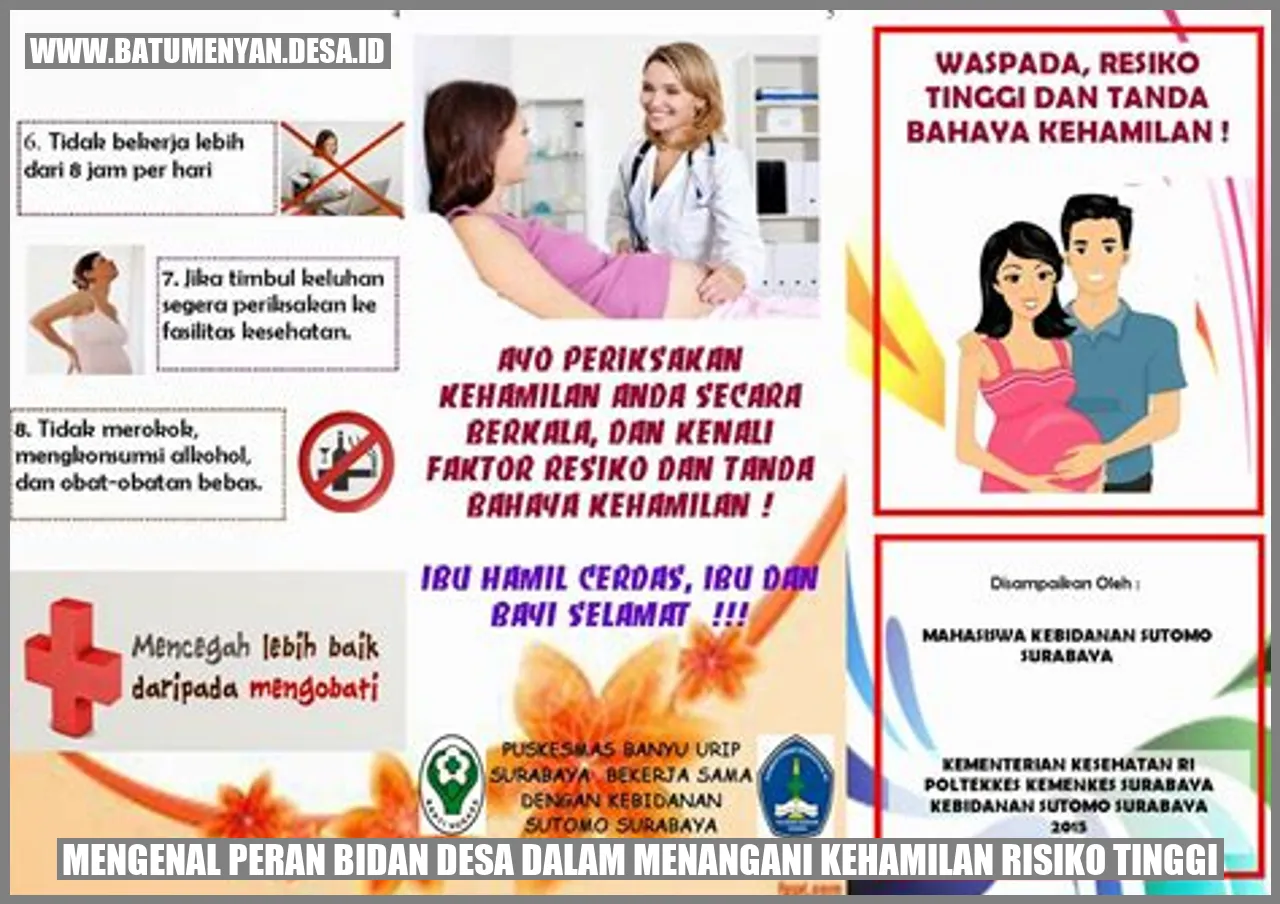 Mengenal Peran Bidan Desa dalam Menangani Kehamilan Risiko Tinggi