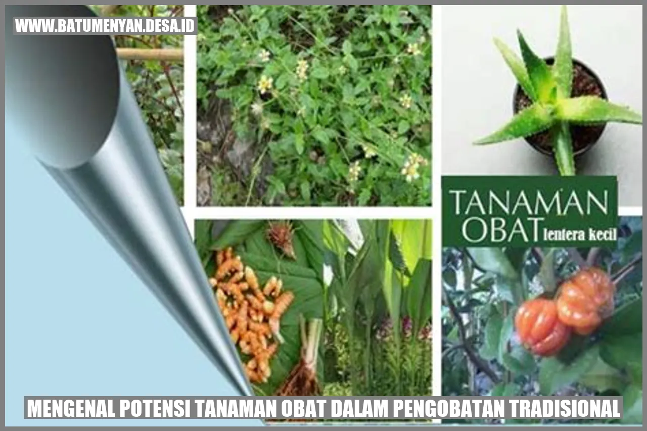 Mengenal Potensi Tanaman Obat dalam Pengobatan Tradisional