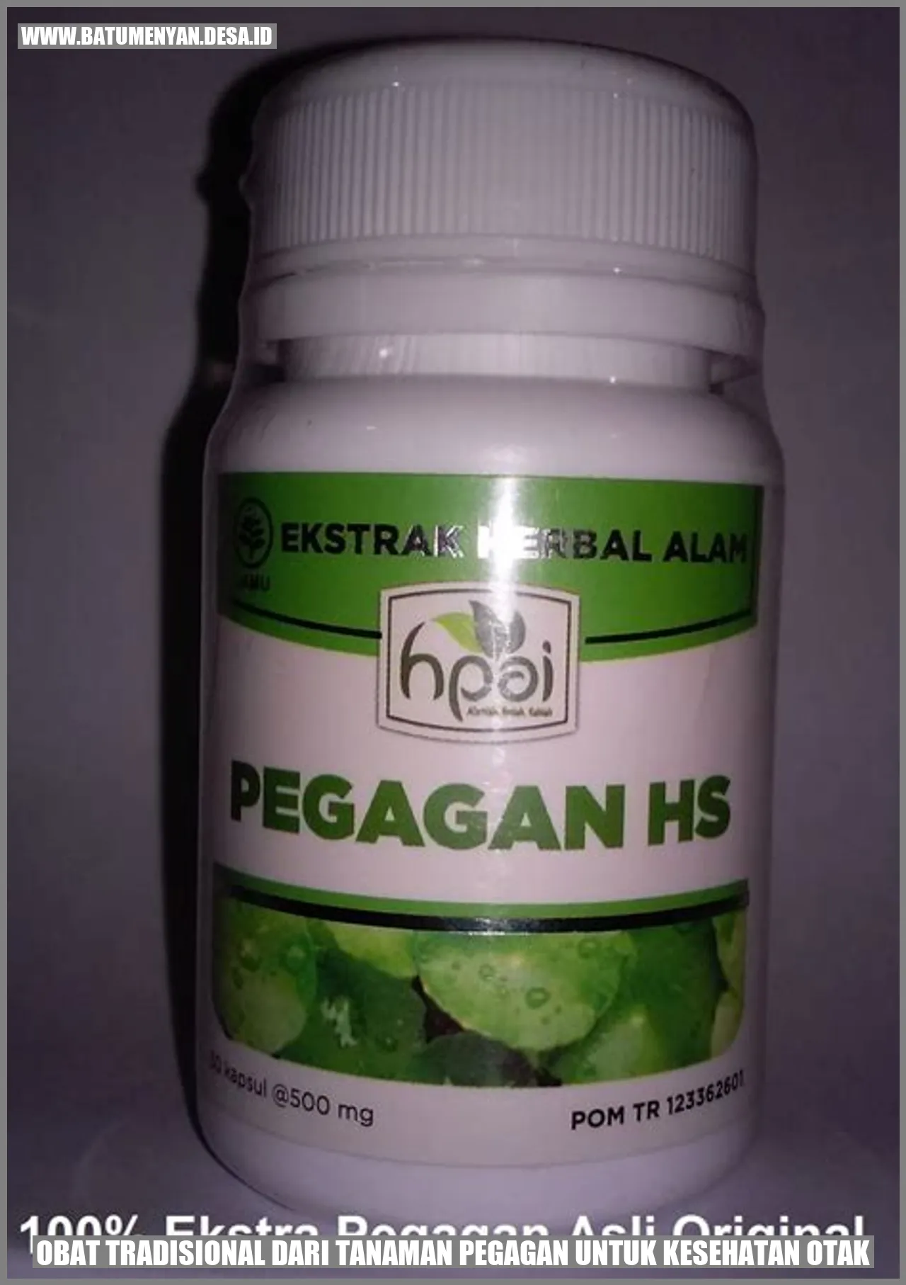 Cara Menggunakan Obat Tradisional dari Tanaman Pegagan untuk Meningkatkan Kesehatan Otak