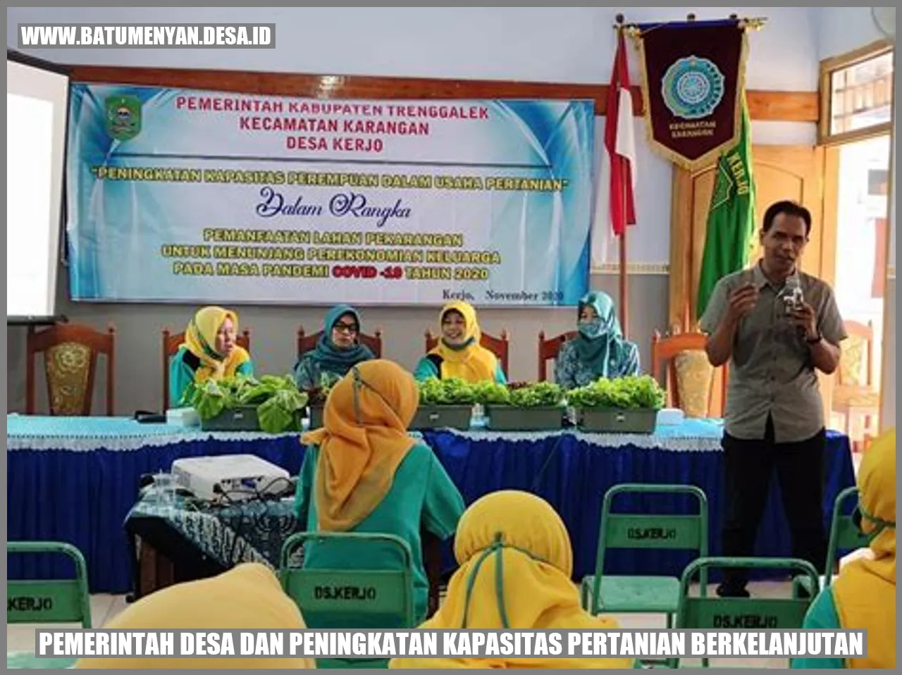 Pemerintah Desa dan Peningkatan Kapasitas Pertanian Berkelanjutan di Desa Batu Menyan, Pesawaran