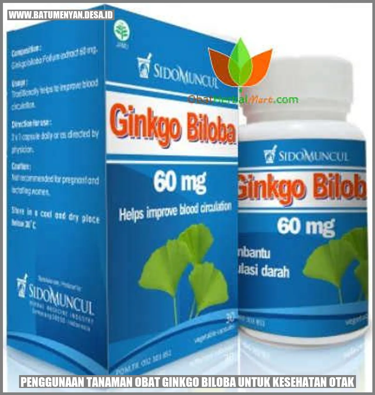 Penggunaan Tanaman Obat Ginkgo Biloba untuk Kesehatan Otak