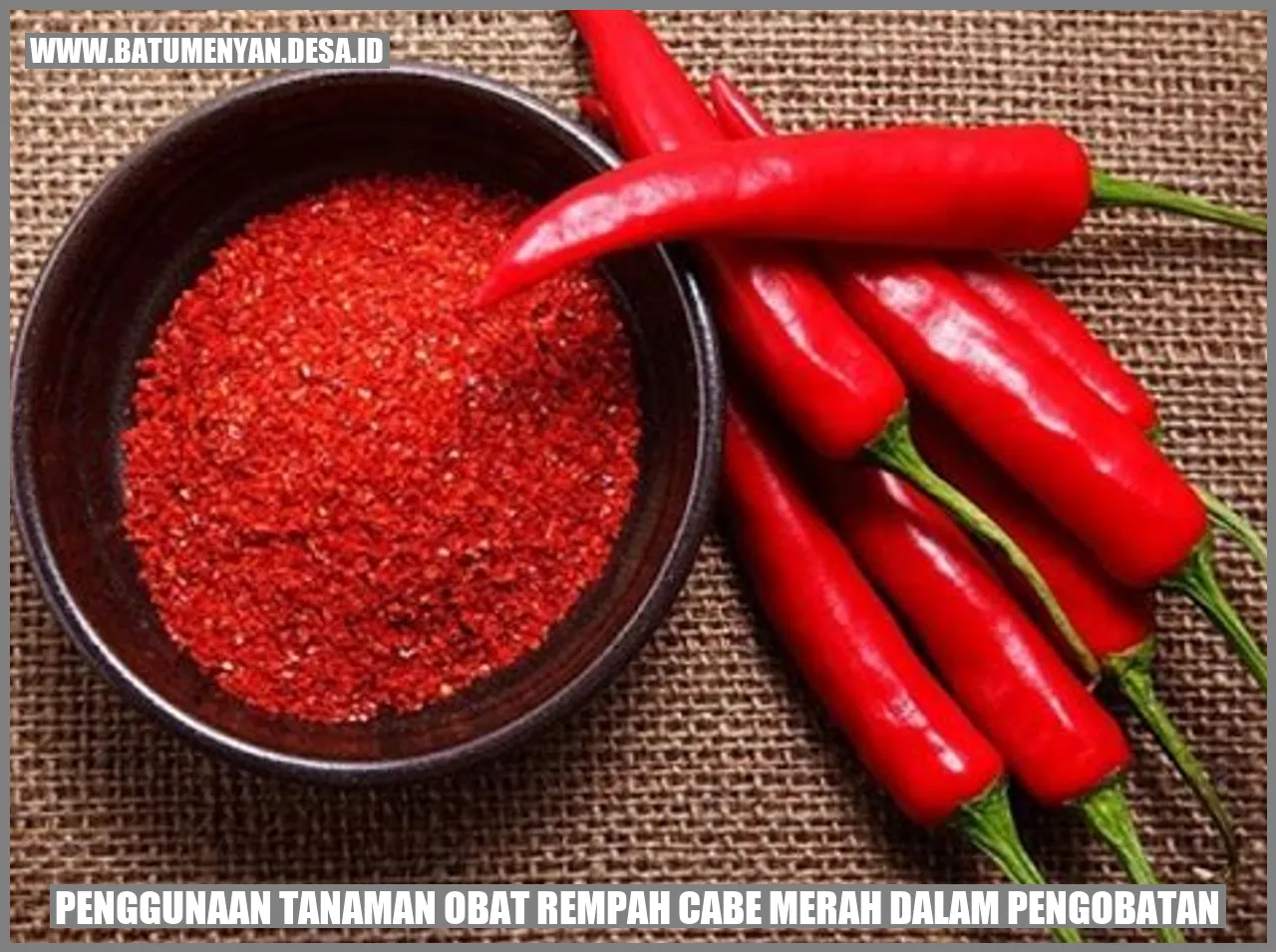 Penggunaan Tanaman Obat Rempah Cabe Merah dalam Pengobatan
