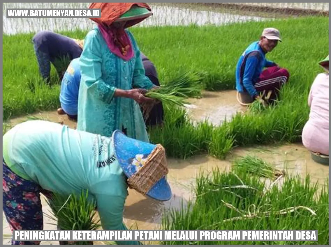 Peningkatan Keterampilan Petani melalui Program Pemerintah Desa