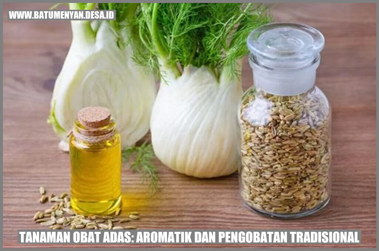 Tanaman Obat Adas: Aromatik dan Pengobatan Tradisional