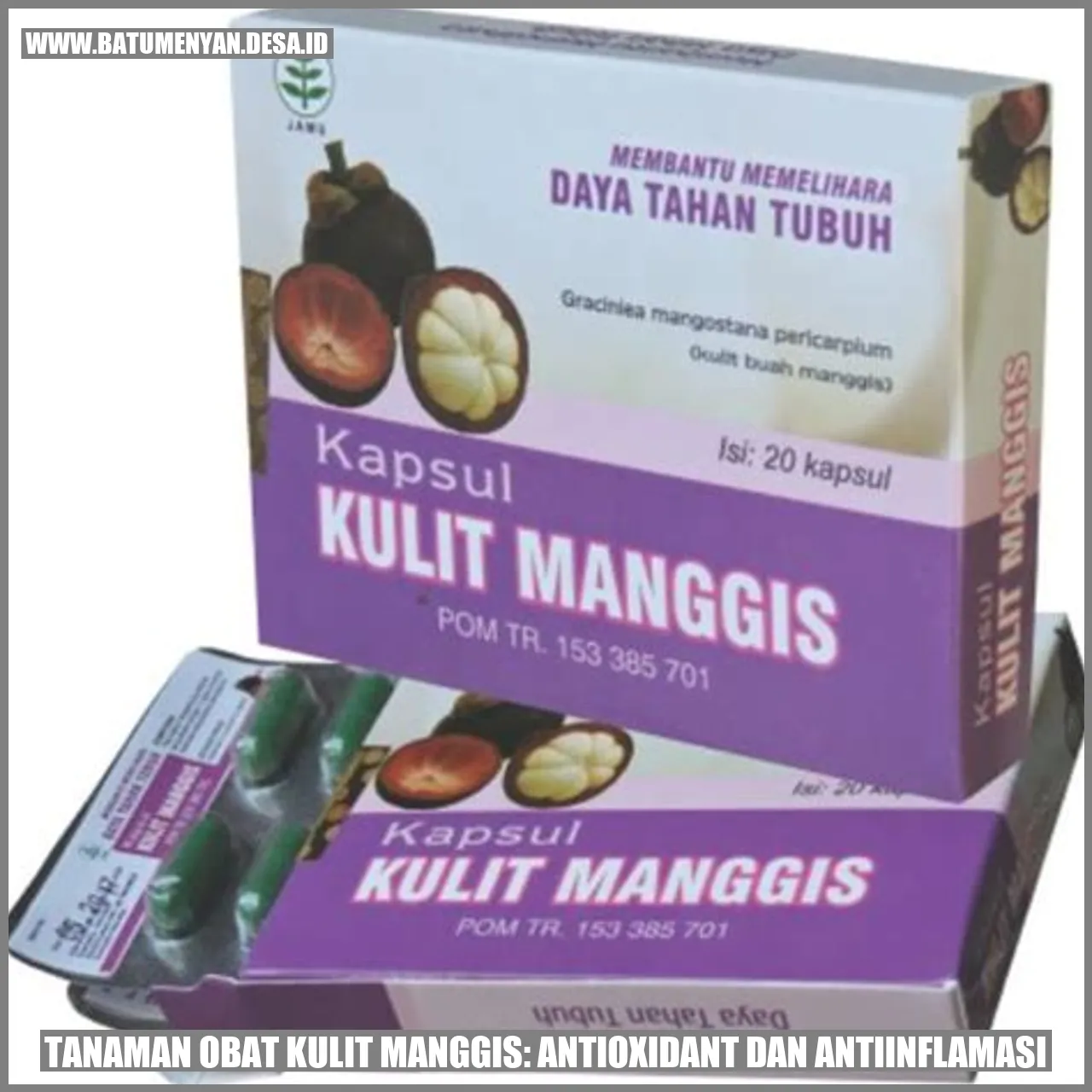 Tanaman Obat Kulit Manggis: Antioxidant dan Antiinflamasi