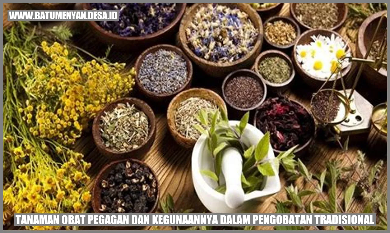 Tanaman Obat Pegagan dan Kegunaannya dalam Pengobatan Tradisional