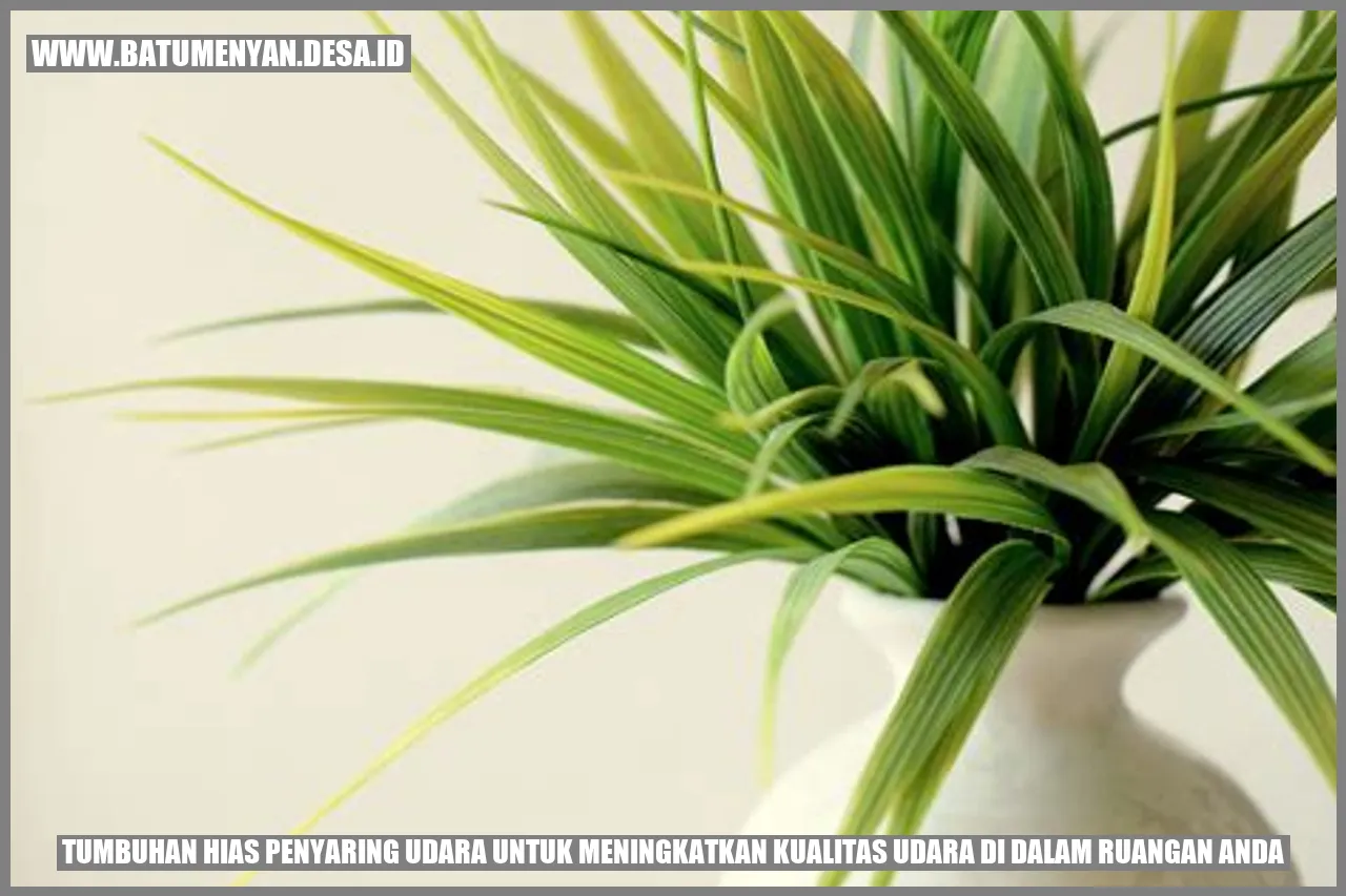 Tumbuhan Hias Penyaring Udara untuk Meningkatkan Kualitas Udara di Dalam Ruangan Anda: Menyegarkan Udara dengan Cantiknya