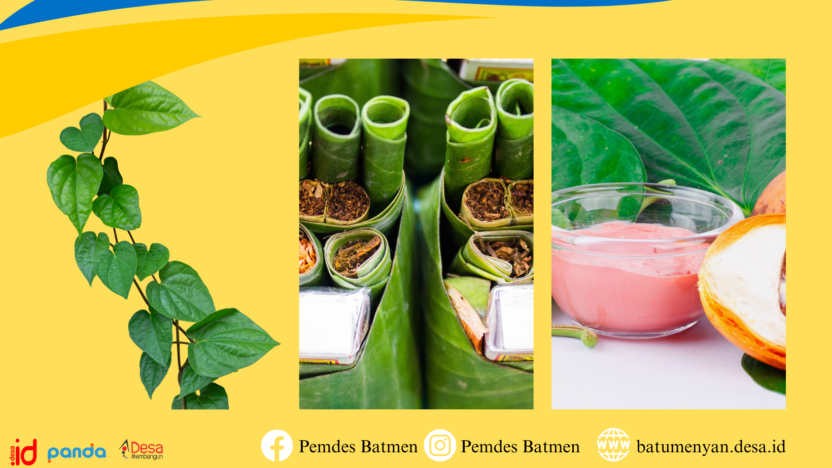 Daun Sirih: Lebih dari Sekadar Tradisi, Harta Karun Kesehatan dan Kelezatan