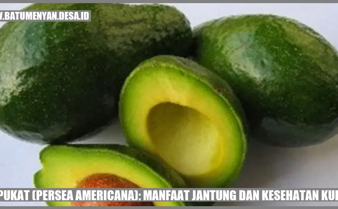Alpukat: Lemak Sehat untuk Jantung dan Kulit