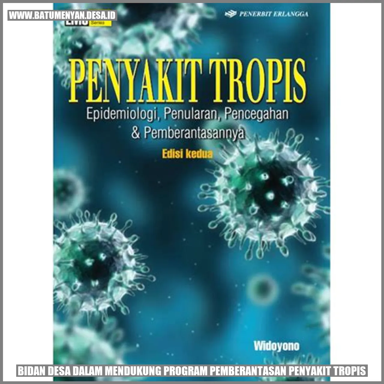 Bidan Desa dalam Mendukung Program Pemberantasan Penyakit Tropis