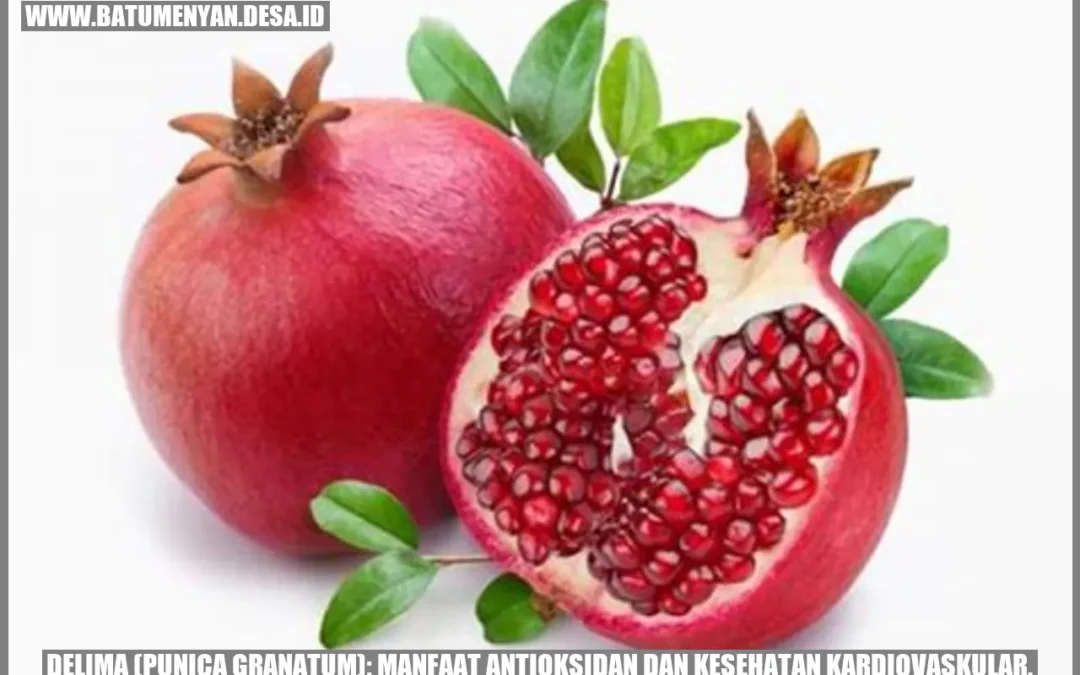 Delima (Punica granatum): Manfaat Antioksidan dan Kesehatan Kardiovaskular.