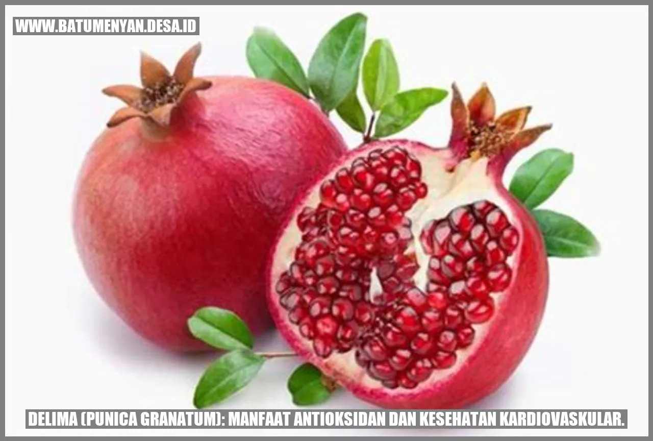 Gambar Delima