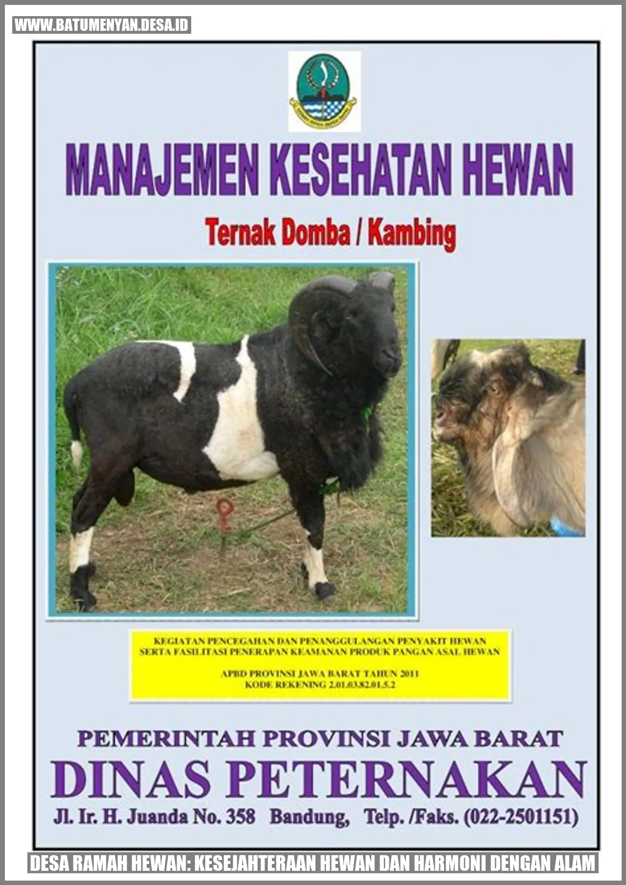 Desa Ramah Hewan: Kesejahteraan Hewan dan Harmoni dengan Alam