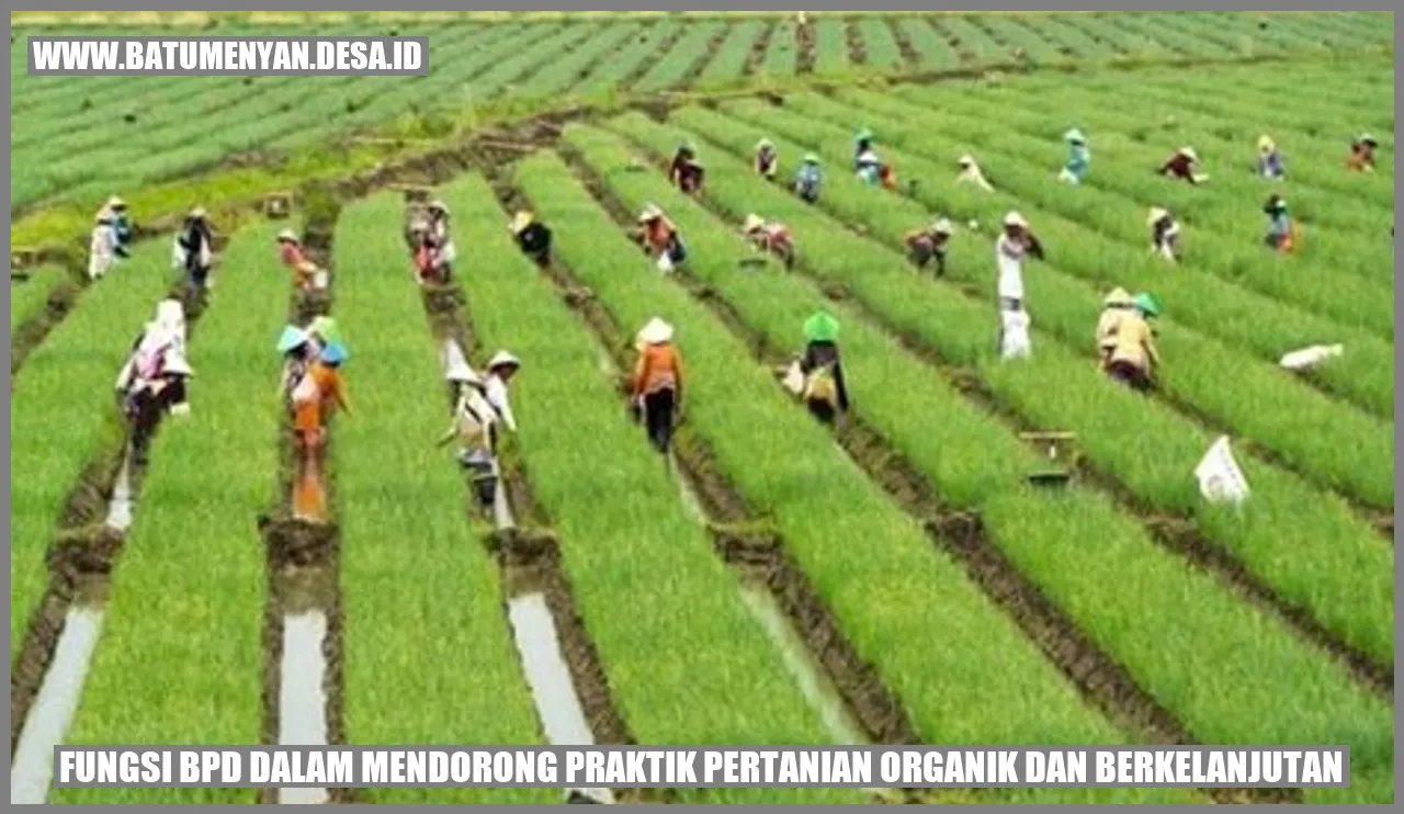 Fungsi BPD dalam Mendorong Praktik Pertanian Organik dan Berkelanjutan