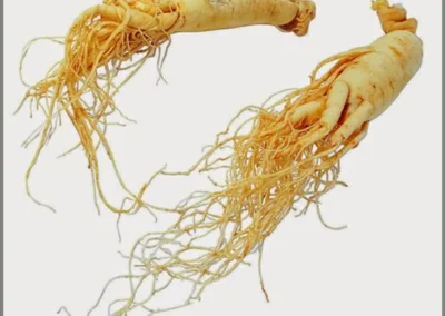 Ginseng (Panax ginseng): Manfaat Energi dan Adaptogen.