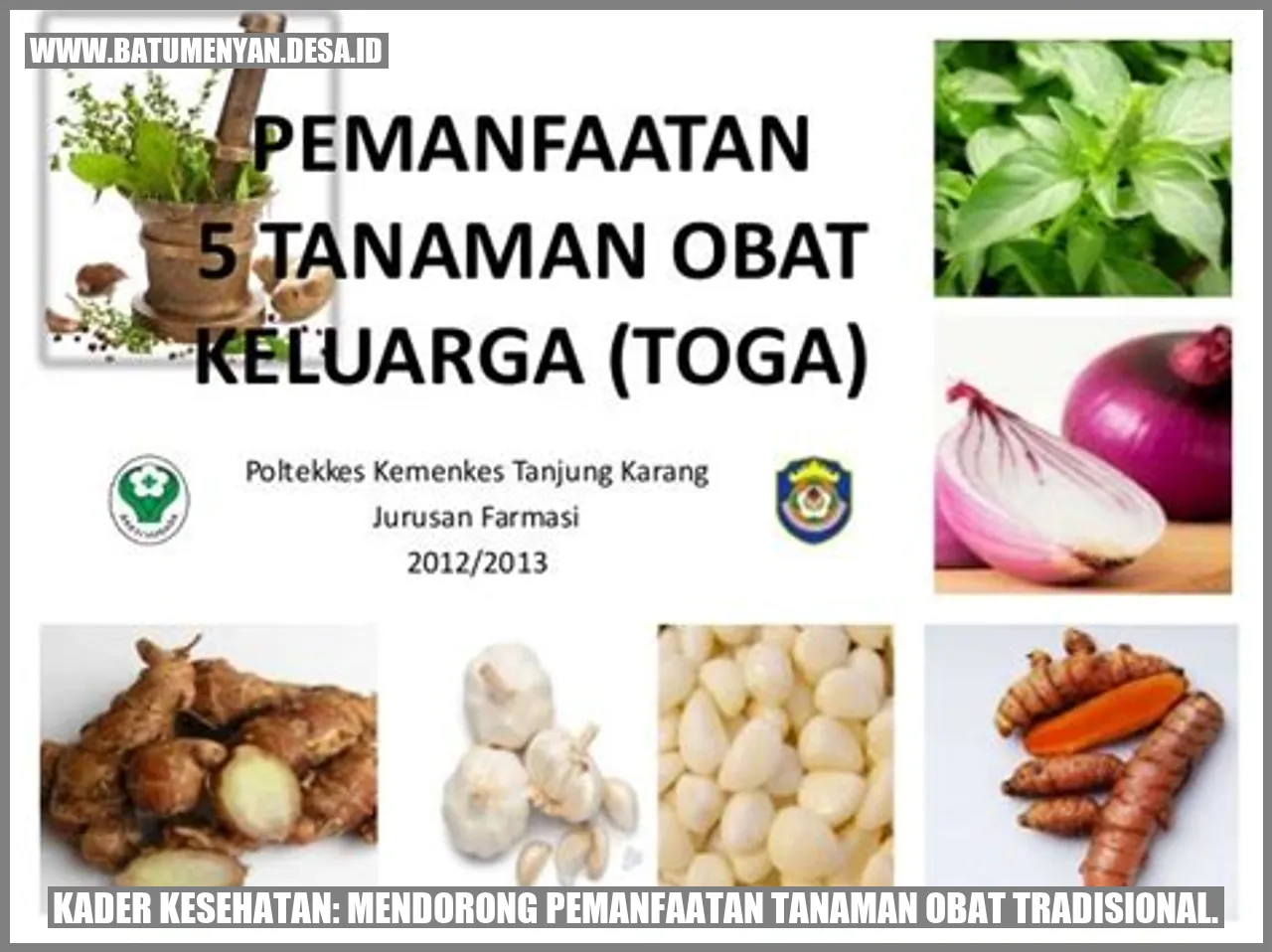 Tanaman Obat Tradisional