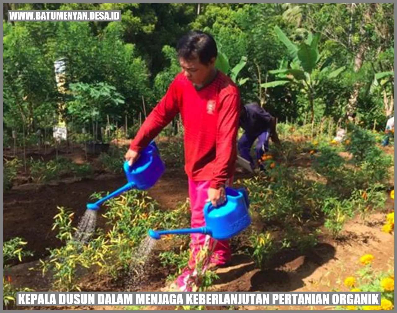 Kepala Dusun dalam Menjaga Keberlanjutan Pertanian Organik