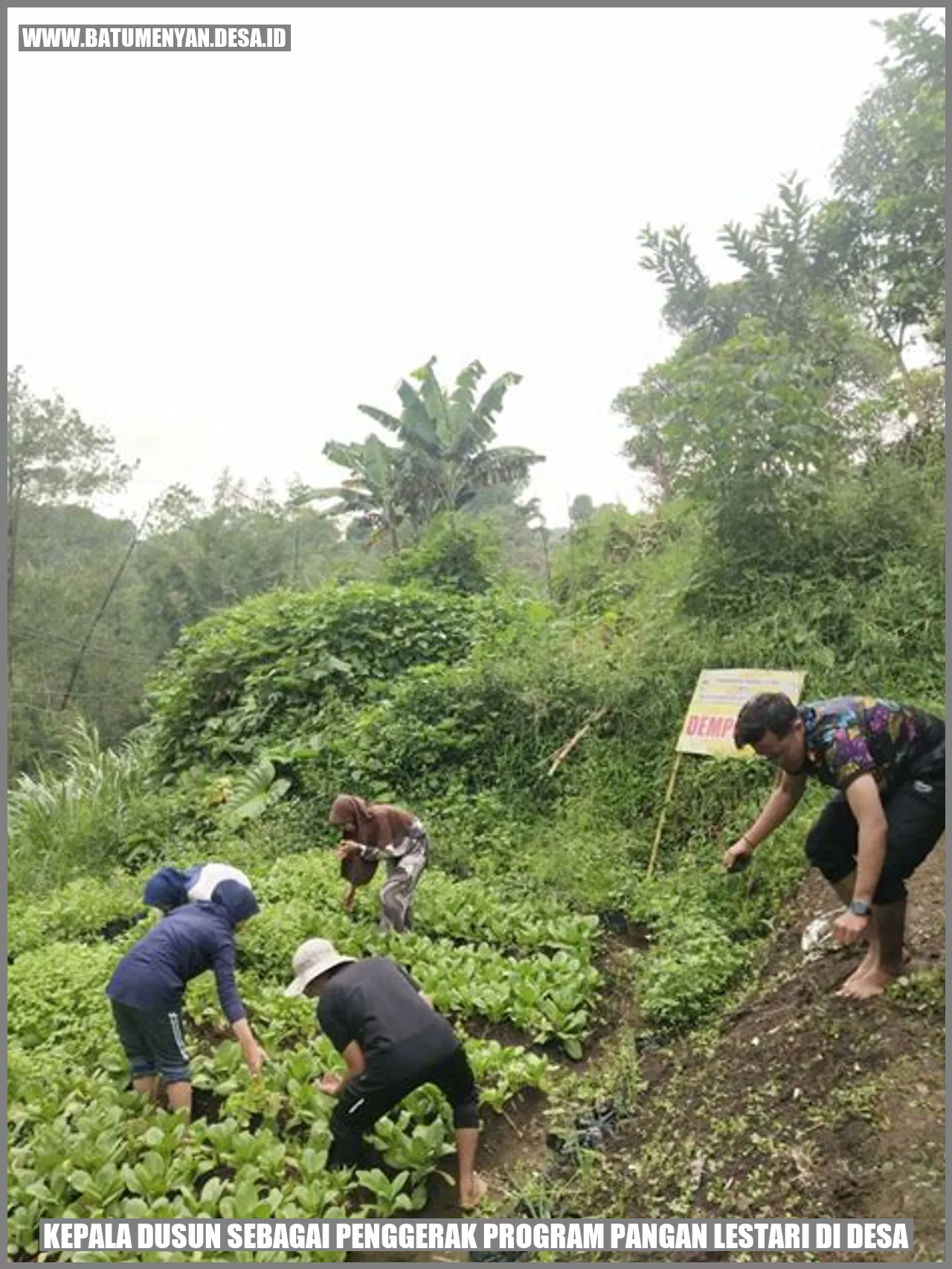 Kepala Dusun sebagai Penggerak Program Pangan Lestari di Desa