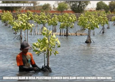 Konservasi Alam di Desa: Pelestarian Sumber Daya Alam untuk Generasi Mendatang