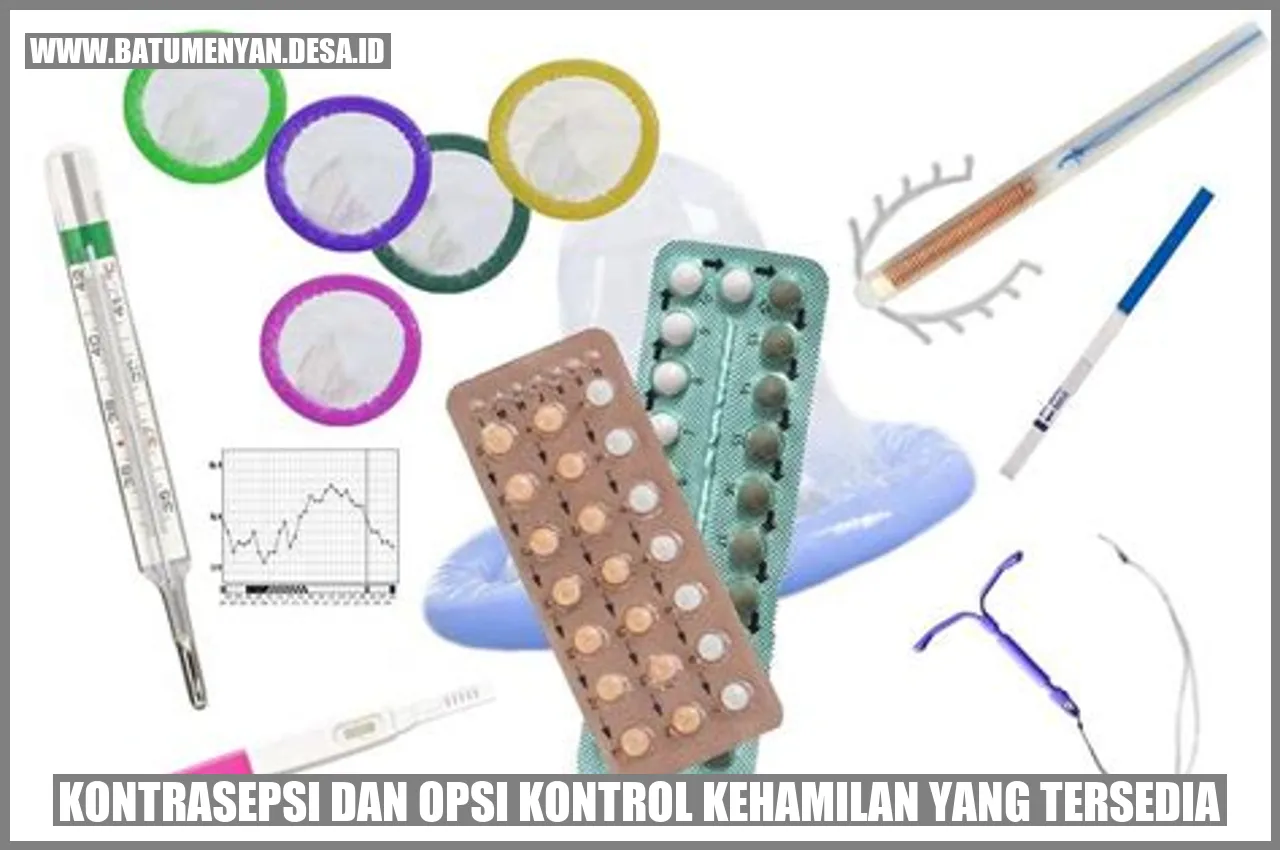 Kontrasepsi dan Opsi Kontrol Kehamilan yang Tersedia