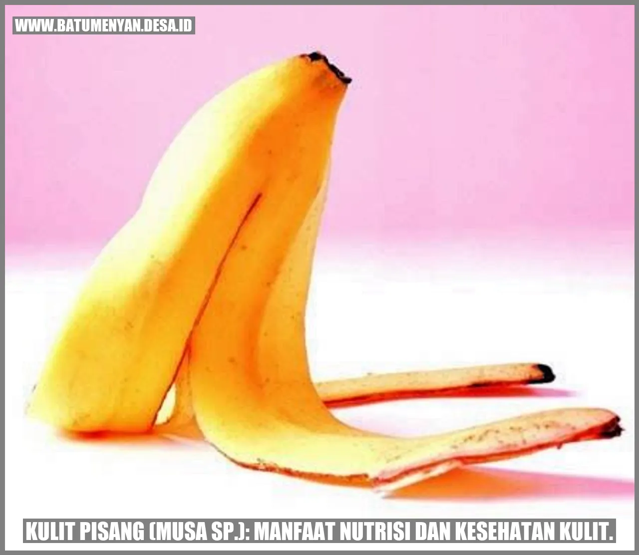 Kulit Pisang (Musa sp.): Manfaat Nutrisi dan Kesehatan Kulit