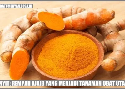 Kunyit: Rempah Ajaib yang Menjadi Tanaman Obat Utama