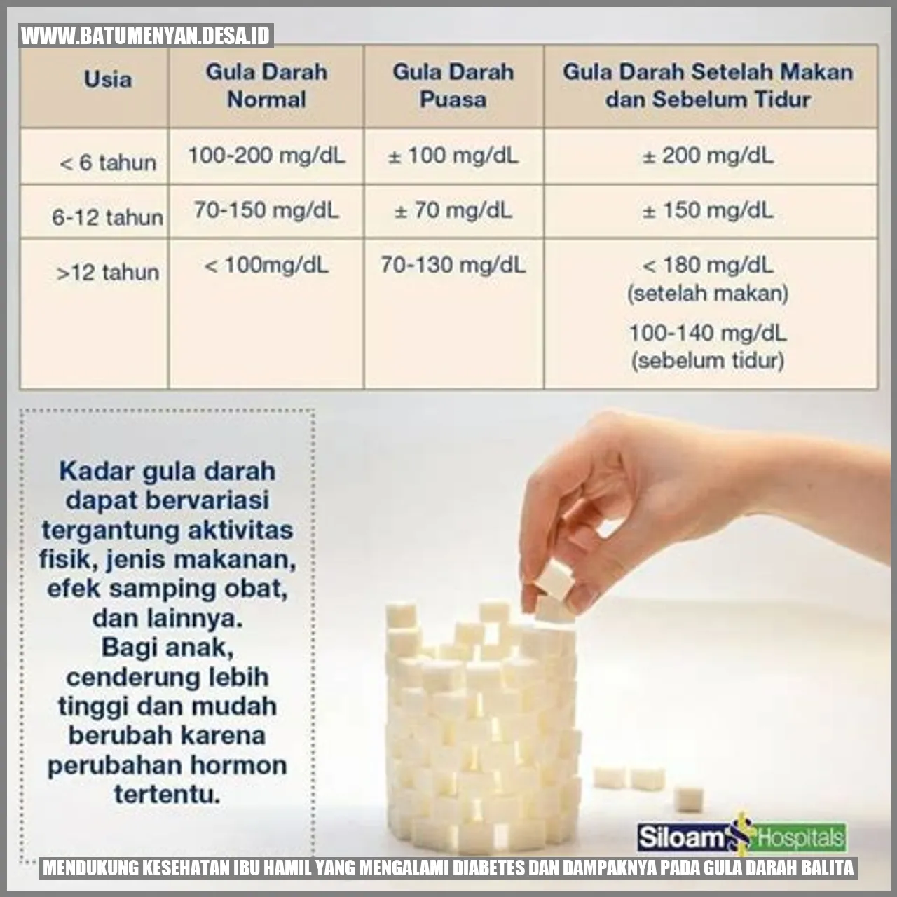 Mendukung Kesehatan Ibu Hamil yang Mengalami Diabetes dan Dampaknya pada Gula Darah Balita