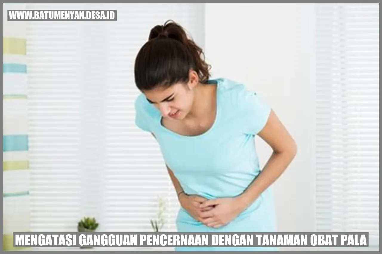 Gangguan Pencernaan dengan Tanaman Obat Pala