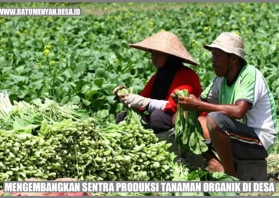 Mengembangkan Sentra Produksi Tanaman Organik di Desa Batu Menyan, Kabupaten Pesawaran: Peluang dan Tantangan