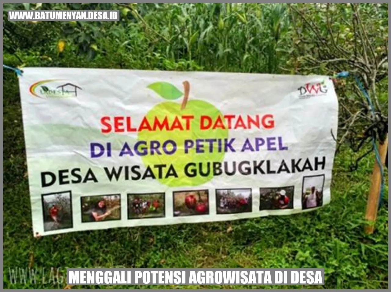 Gambar menggali potensi agrowisata di desa