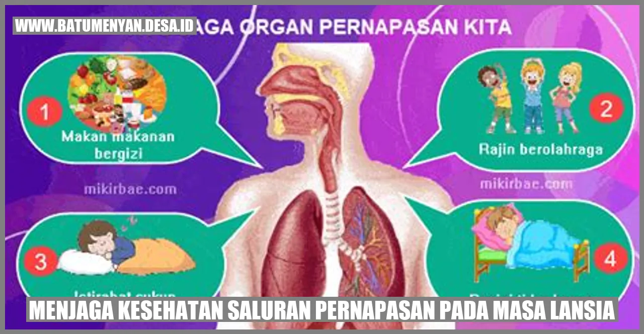 Gambar Saluran Pernapasan Lansia