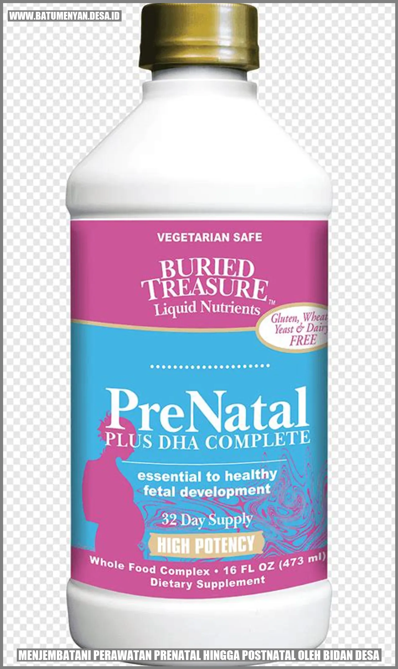 Menjembatani Perawatan Prenatal hingga Postnatal oleh Bidan Desa