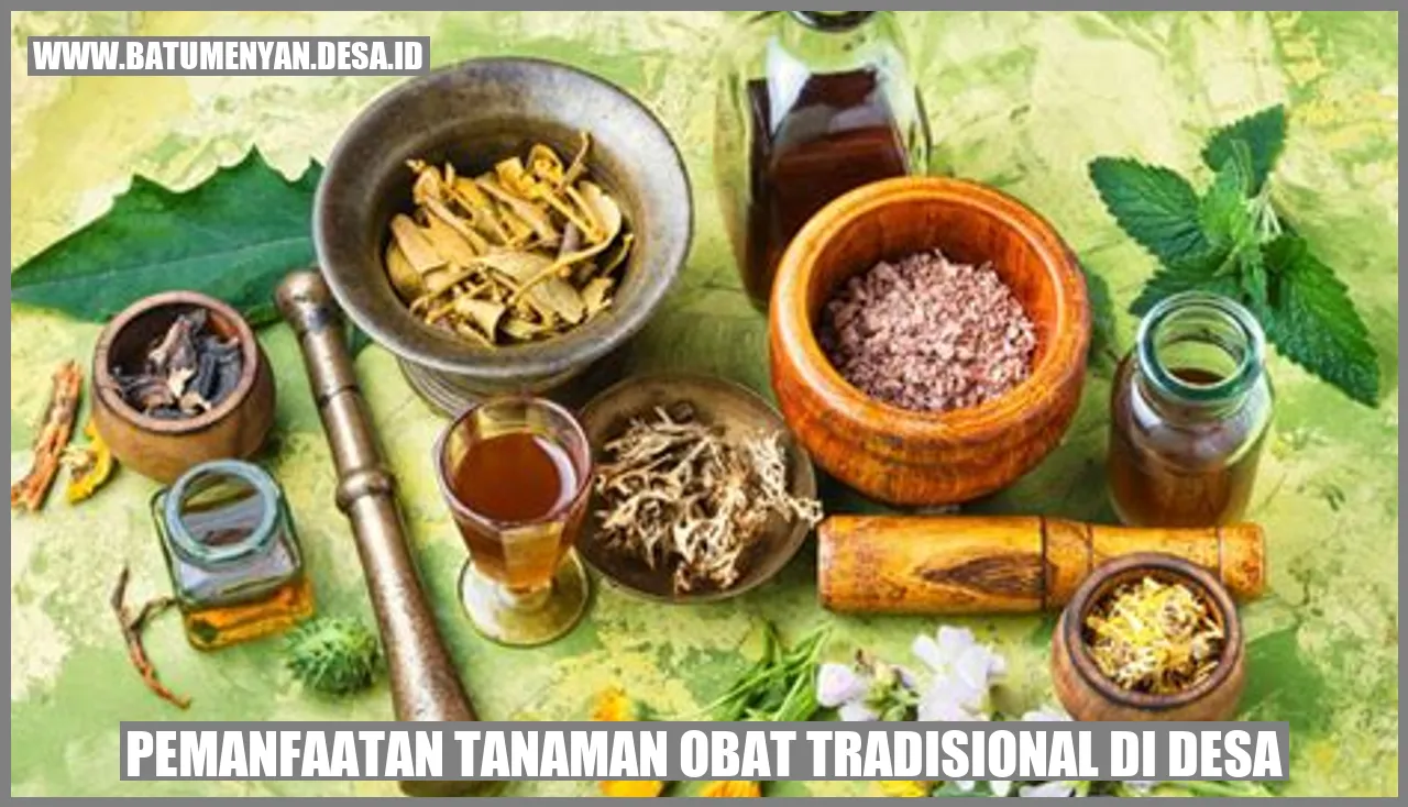Pemanfaatan Tanaman Obat Tradisional di Desa