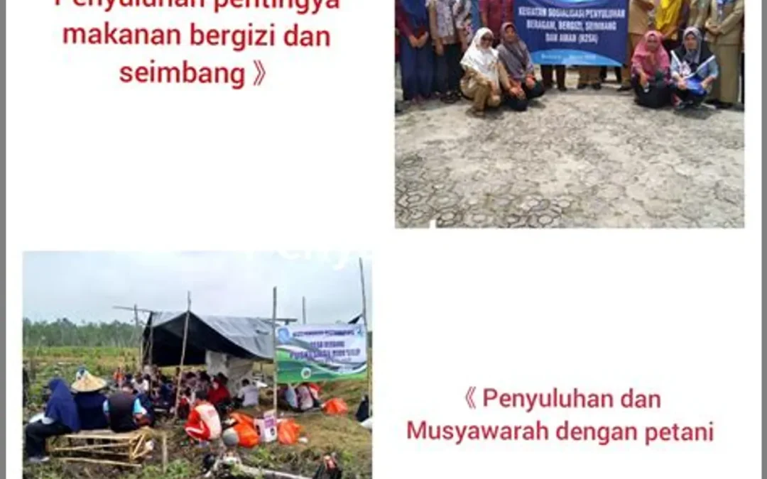 Pentingnya Aspek Kesehatan Lingkungan dalam Tugas Bidan Desa