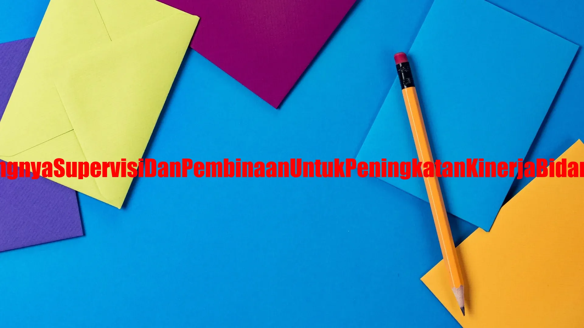 Pentingnya Supervisi dan Pembinaan untuk Peningkatan Kinerja Bidan Desa