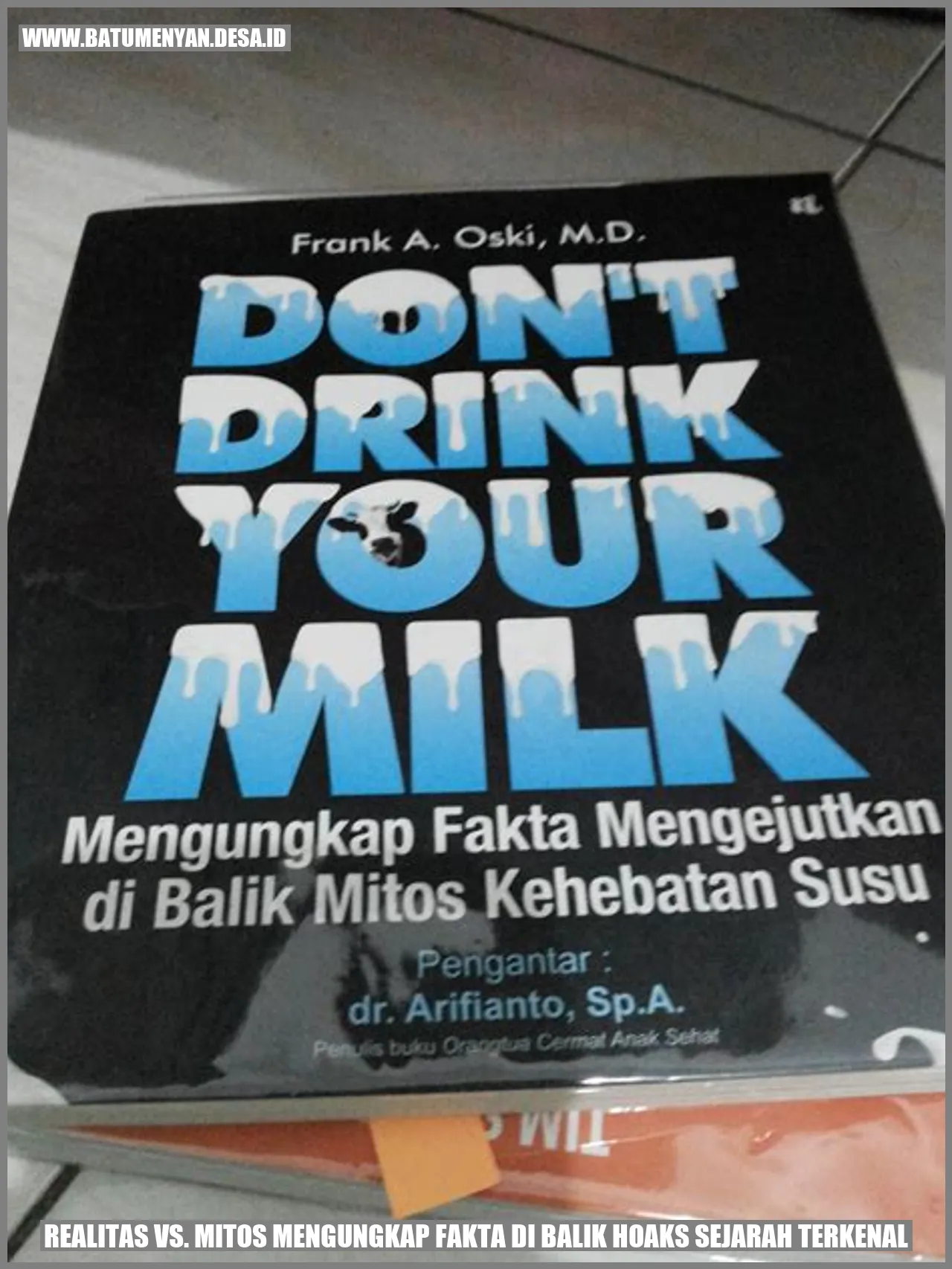Gambar Realitas vs. Mitos: Mengungkap Fakta di Balik Hoaks Sejarah Terkenal