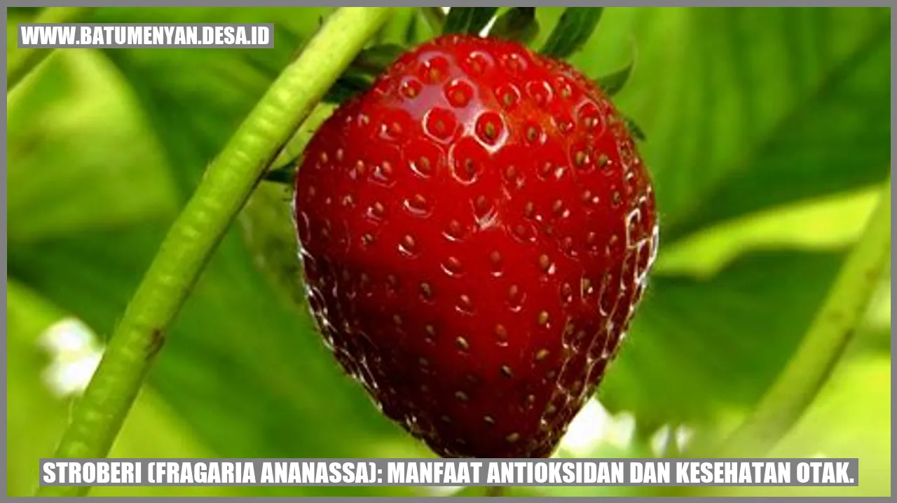 Stroberi (Fragaria ananassa): Manfaat Antioksidan dan Kesehatan Otak.