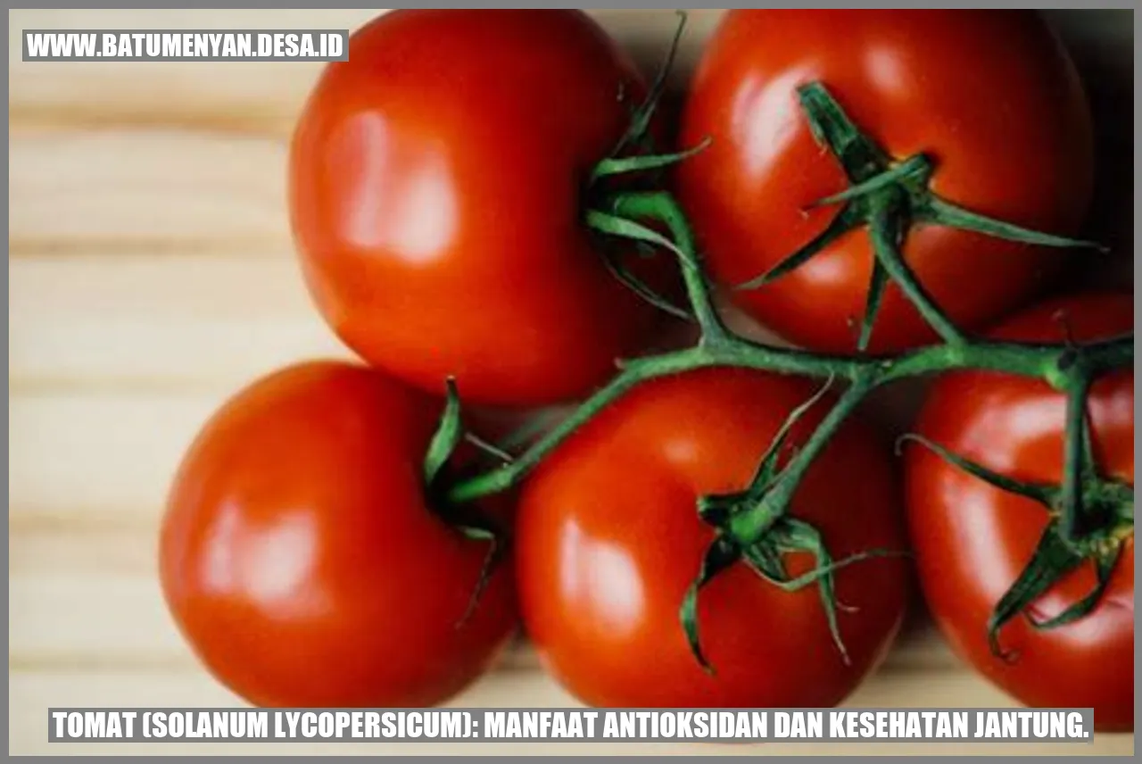Tomat (Solanum lycopersicum): Manfaat Antioksidan dan Kesehatan Jantung.